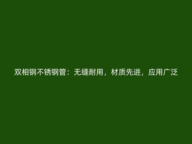 双相钢不锈钢管：无缝耐用，材质先进，应用广泛
