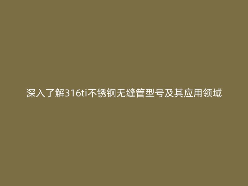 深入了解316ti不锈钢无缝管型号及其应用领域