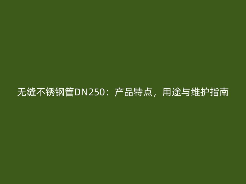 无缝不锈钢管DN250：产品特点，用途与维护指南