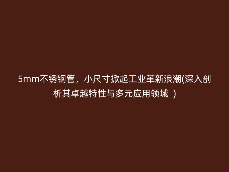 5mm不锈钢管，小尺寸掀起工业革新浪潮(深入剖析其卓越特性与多元应用领域  )