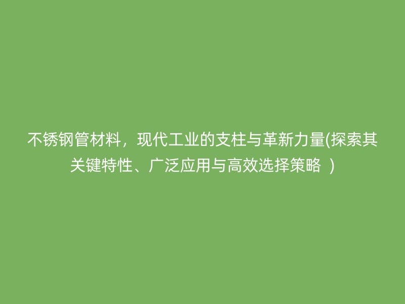 不锈钢管材料，现代工业的支柱与革新力量(探索其关键特性、广泛应用与高效选择策略  )