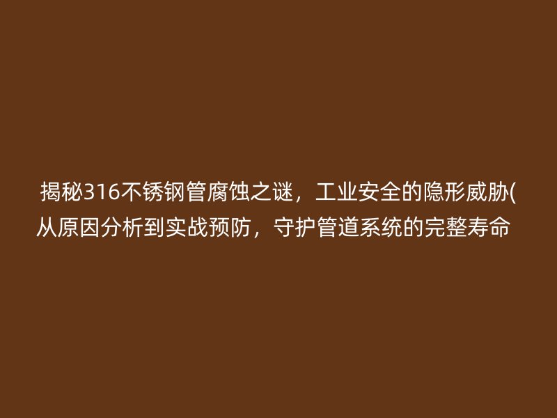 揭秘316不锈钢管腐蚀之谜，工业安全的隐形威胁(从原因分析到实战预防，守护管道系统的完整寿命  )