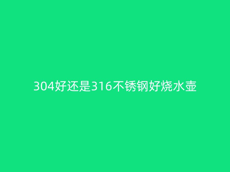 304好还是316不锈钢好烧水壶