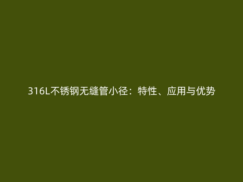 316L不锈钢无缝管小径：特性、应用与优势