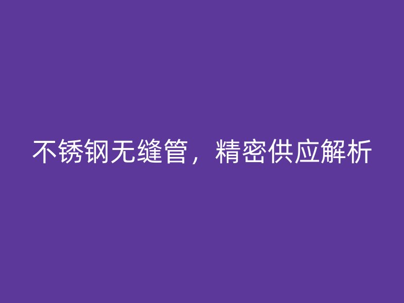 不锈钢无缝管，精密供应解析