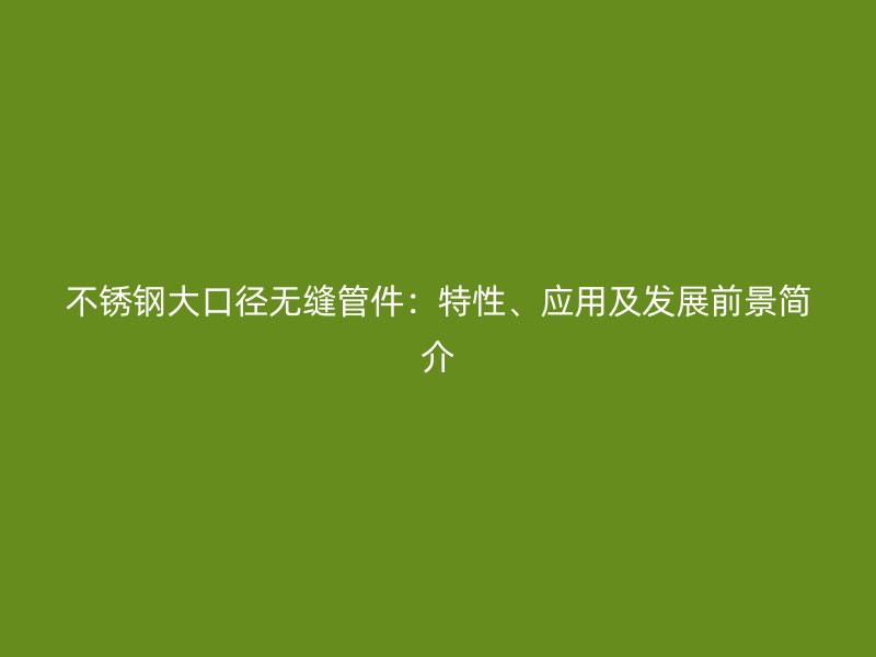 不锈钢大口径无缝管件：特性、应用及发展前景简介