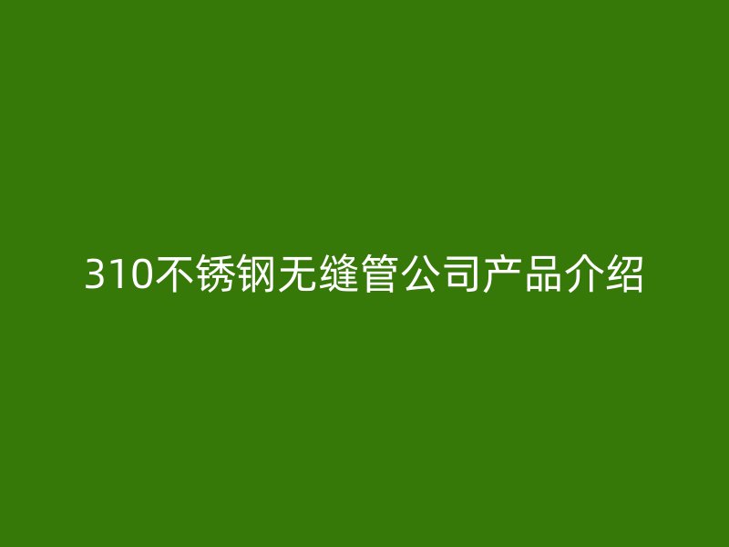 310不锈钢无缝管公司产品介绍