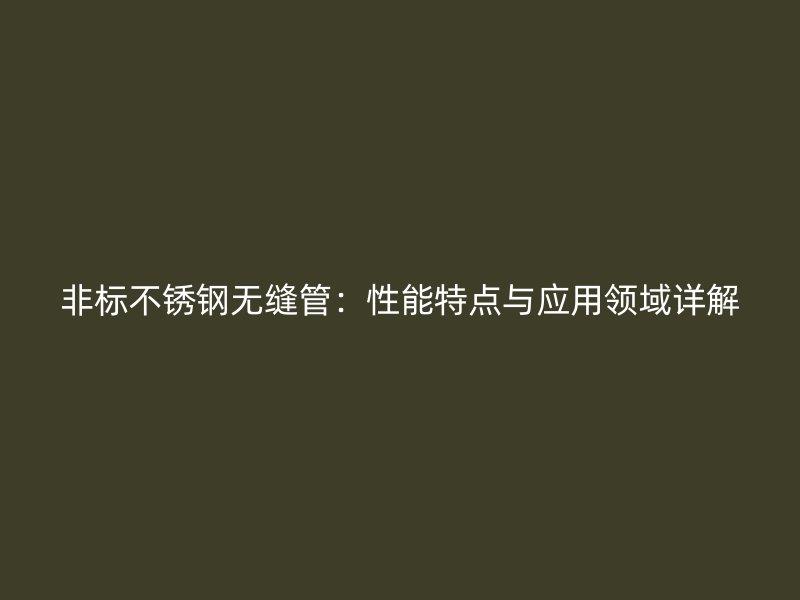 非标不锈钢无缝管：性能特点与应用领域详解