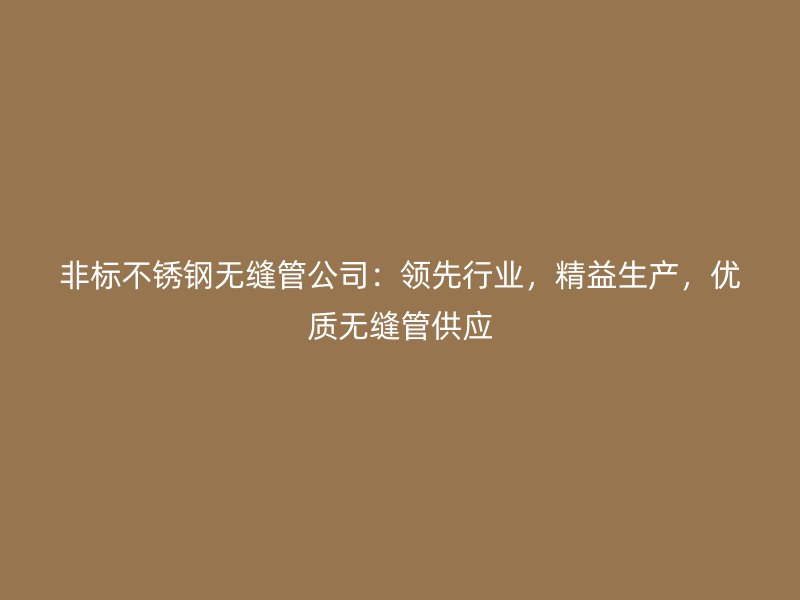 非标不锈钢无缝管公司：领先行业，精益生产，优质无缝管供应