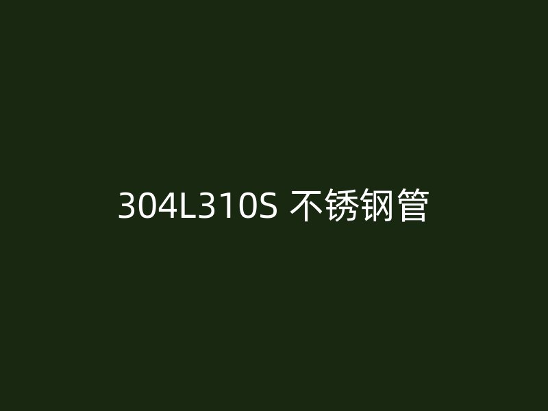 304L310S 不锈钢管