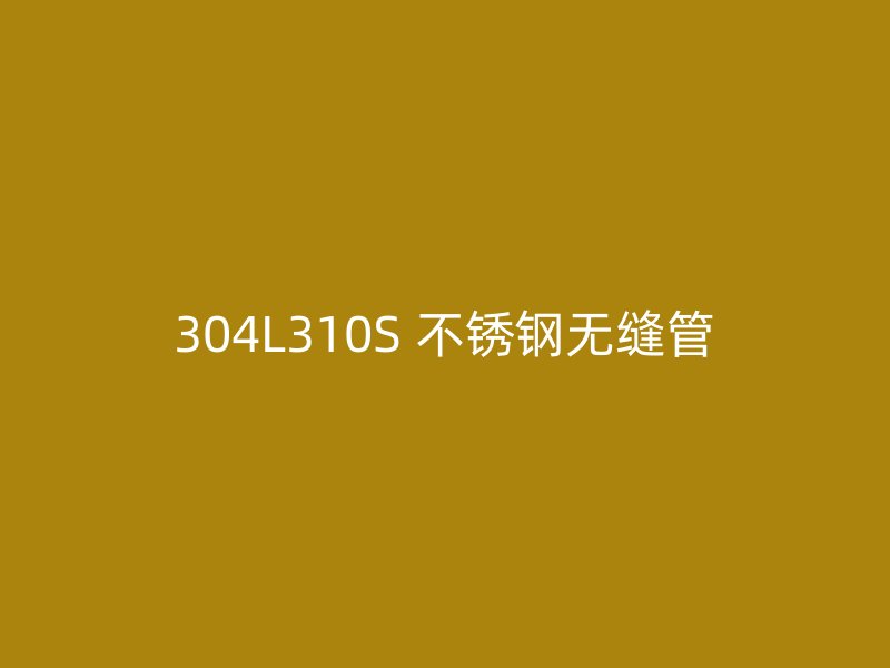 304L310S 不锈钢无缝管