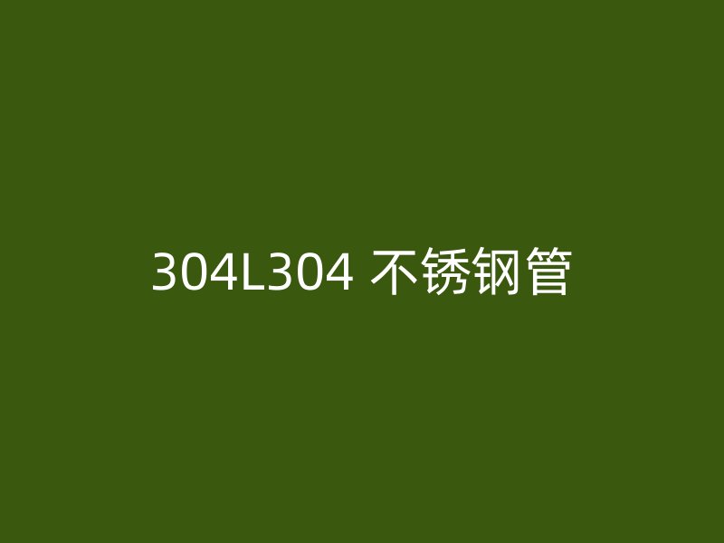 304L304 不锈钢管