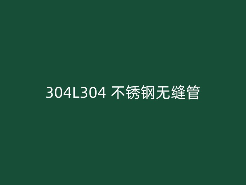 304L304 不锈钢无缝管