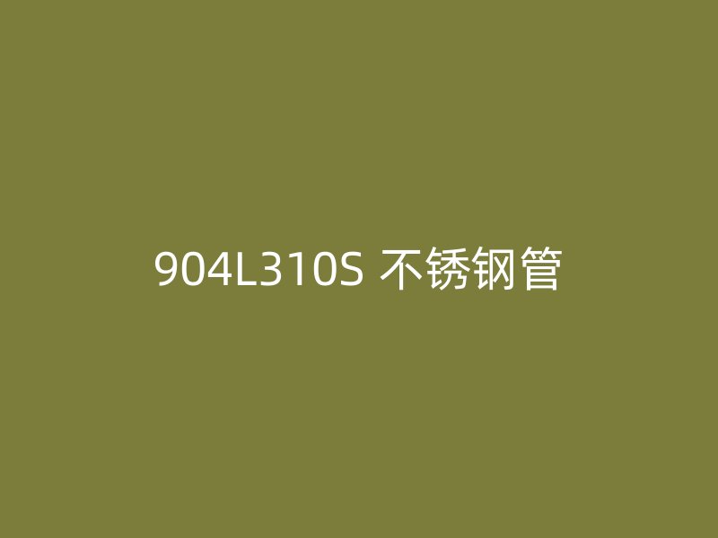 904L310S 不锈钢管