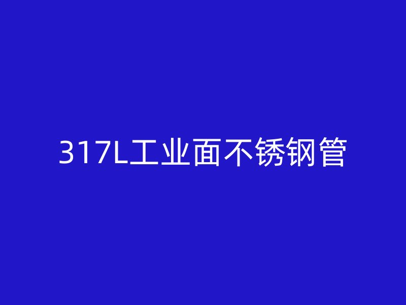 317L工业面不锈钢管