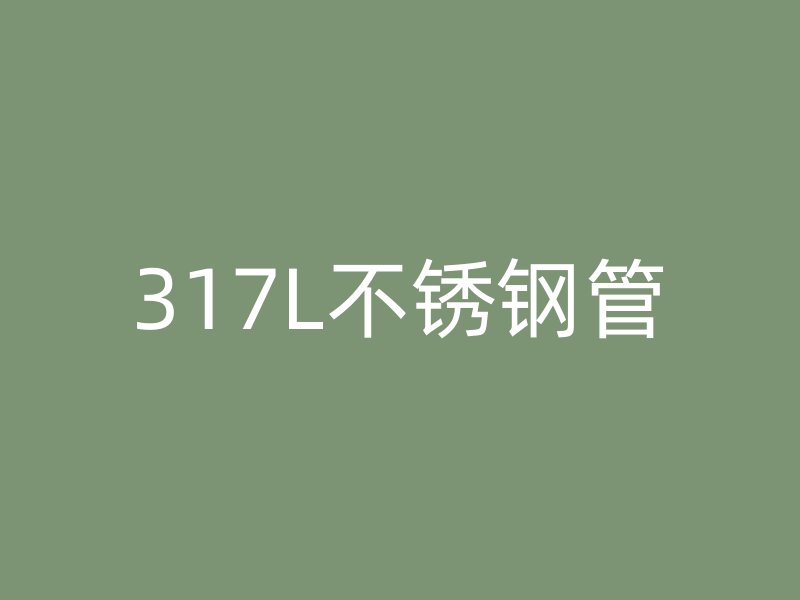 317L不锈钢管