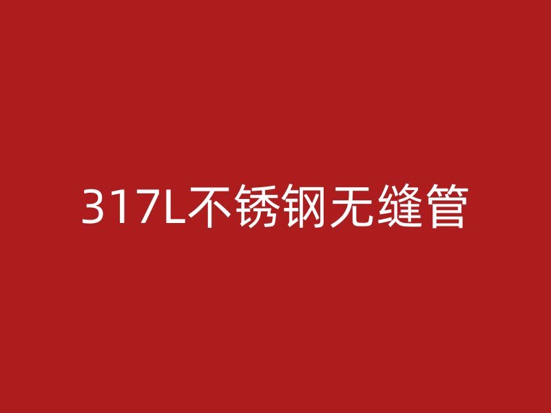 317L不锈钢无缝管