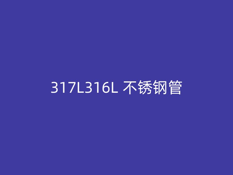 317L316L 不锈钢管