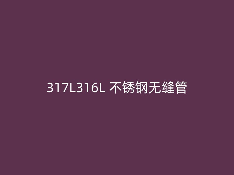 317L316L 不锈钢无缝管