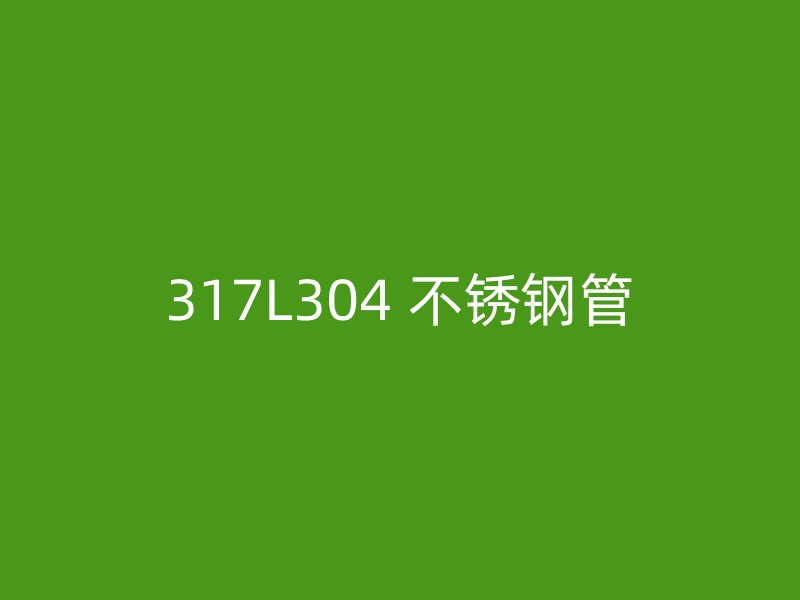 317L304 不锈钢管