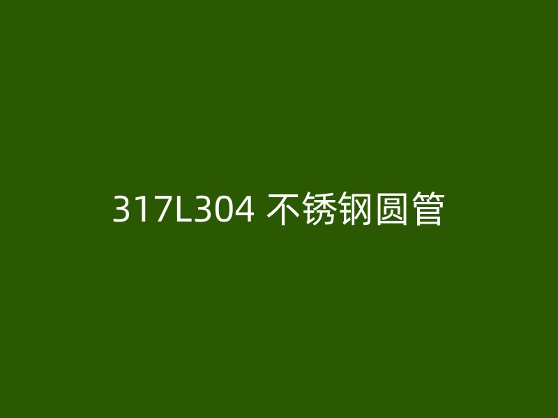 317L304 不锈钢圆管
