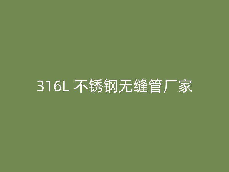 316L 不锈钢无缝管厂家