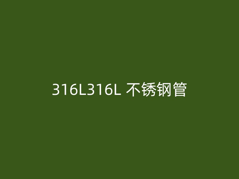 316L316L 不锈钢管