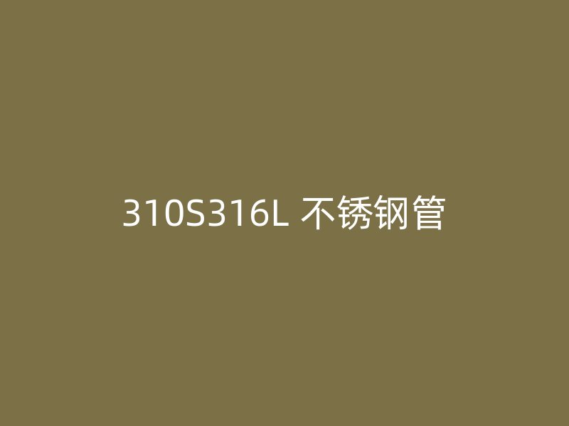 310S316L 不锈钢管