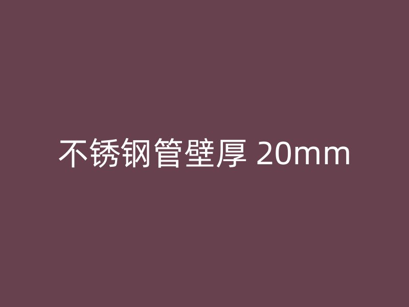 不锈钢管壁厚 20mm