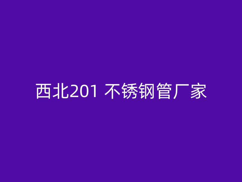 西北201 不锈钢管厂家