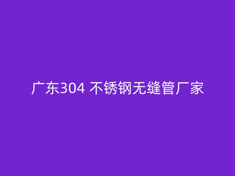 广东304 不锈钢无缝管厂家
