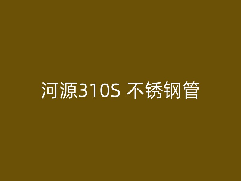 河源310S 不锈钢管