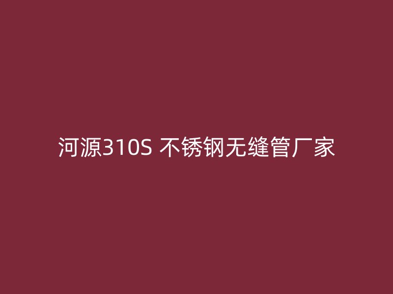 河源310S 不锈钢无缝管厂家