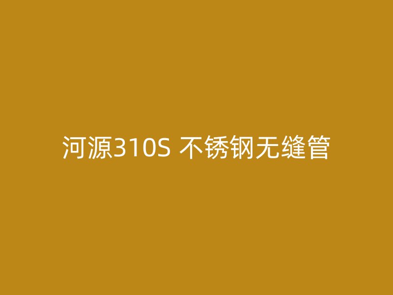 河源310S 不锈钢无缝管