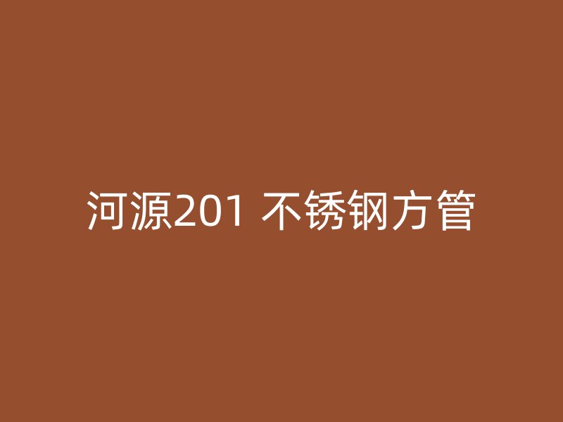 河源201 不锈钢方管