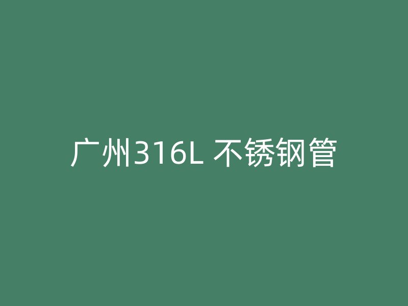 广州316L 不锈钢管