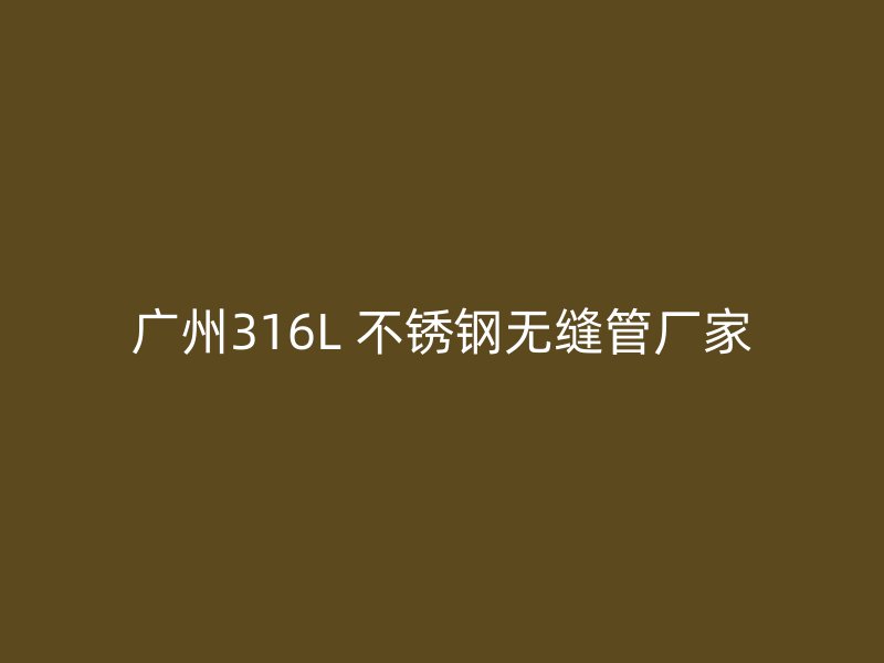 广州316L 不锈钢无缝管厂家