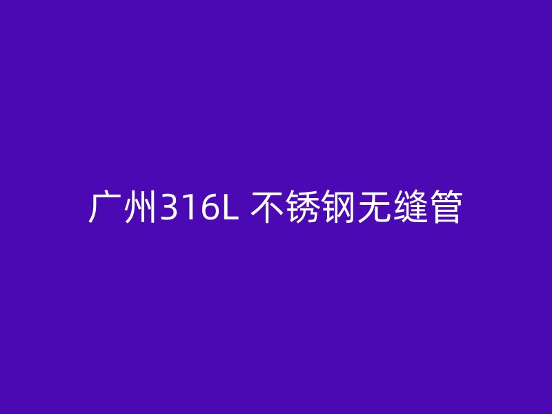 广州316L 不锈钢无缝管