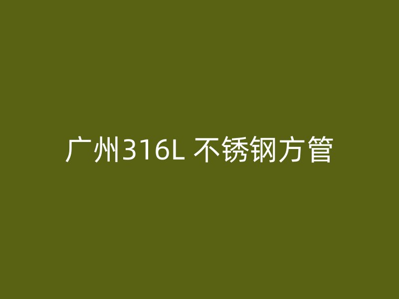 广州316L 不锈钢方管