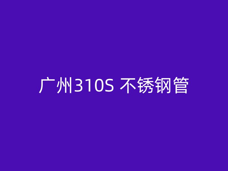 广州310S 不锈钢管