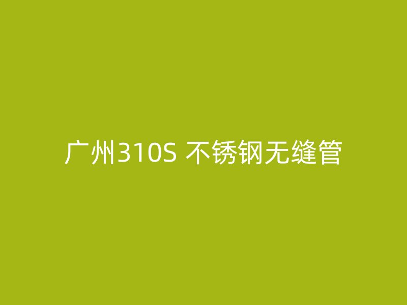 广州310S 不锈钢无缝管