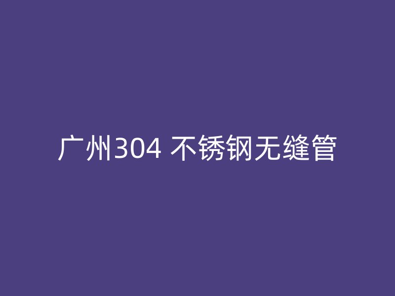 广州304 不锈钢无缝管