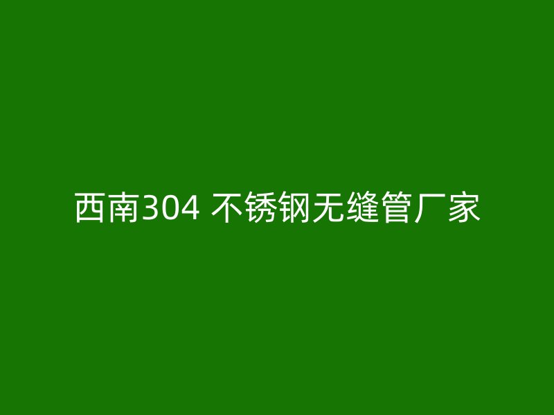 西南304 不锈钢无缝管厂家