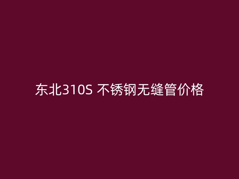 东北310S 不锈钢无缝管价格