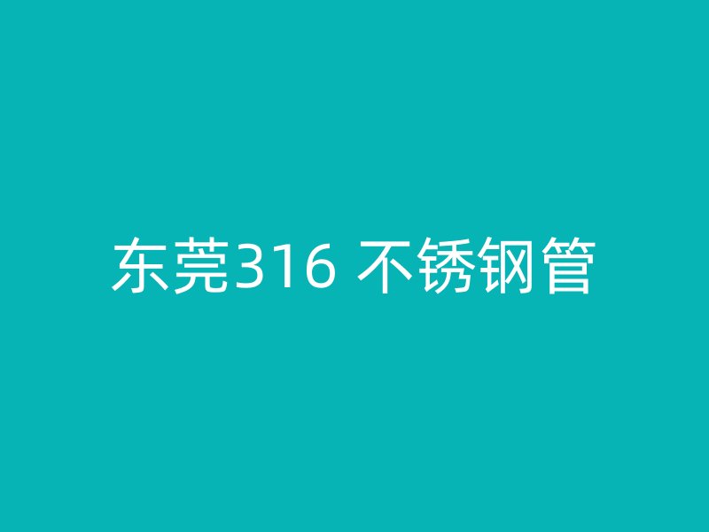东莞316 不锈钢管