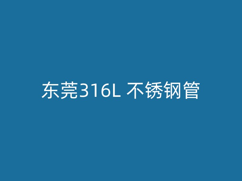 东莞316L 不锈钢管