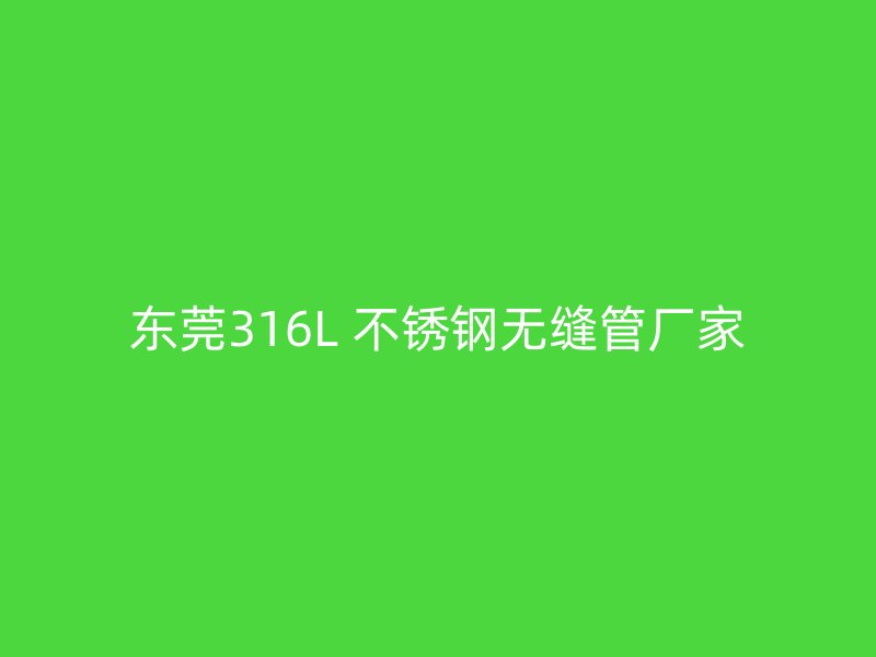 东莞316L 不锈钢无缝管厂家