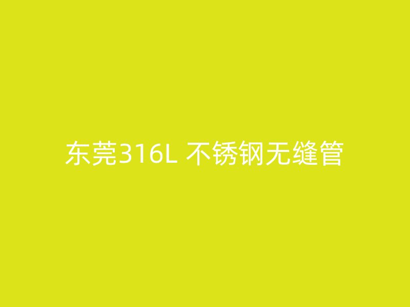 东莞316L 不锈钢无缝管