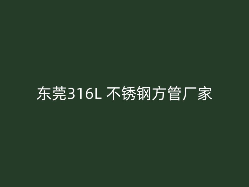 东莞316L 不锈钢方管厂家