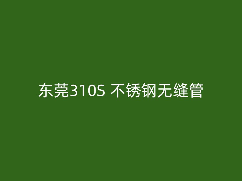 东莞310S 不锈钢无缝管